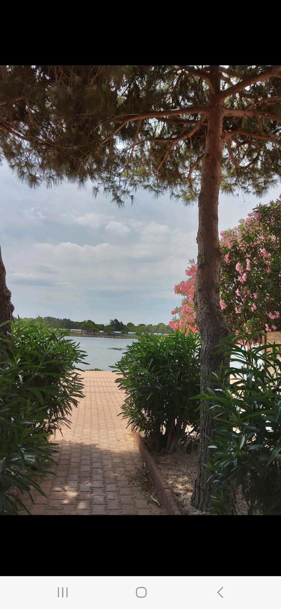 Villa 6P Piscine Spa Privatif Wifi Proche Des Plages Le Barcarès Eksteriør bilde